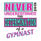 Gymnast Determination